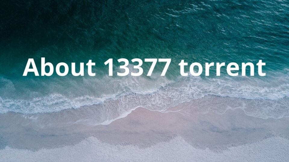 About 13377 torrent